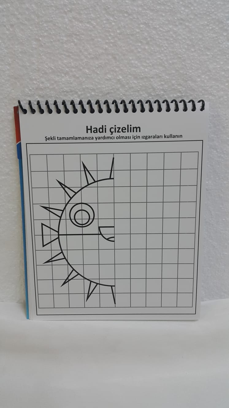 Boya Sil Tekrar Boya Aktivite Kitabı Deniz Canlıları