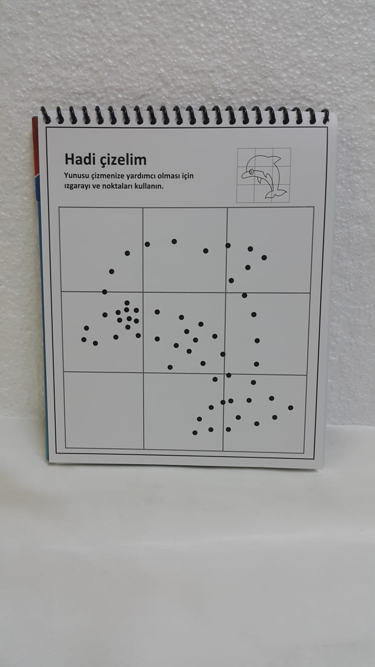 Boya Sil Tekrar Boya Aktivite Kitabı Deniz Canlıları
