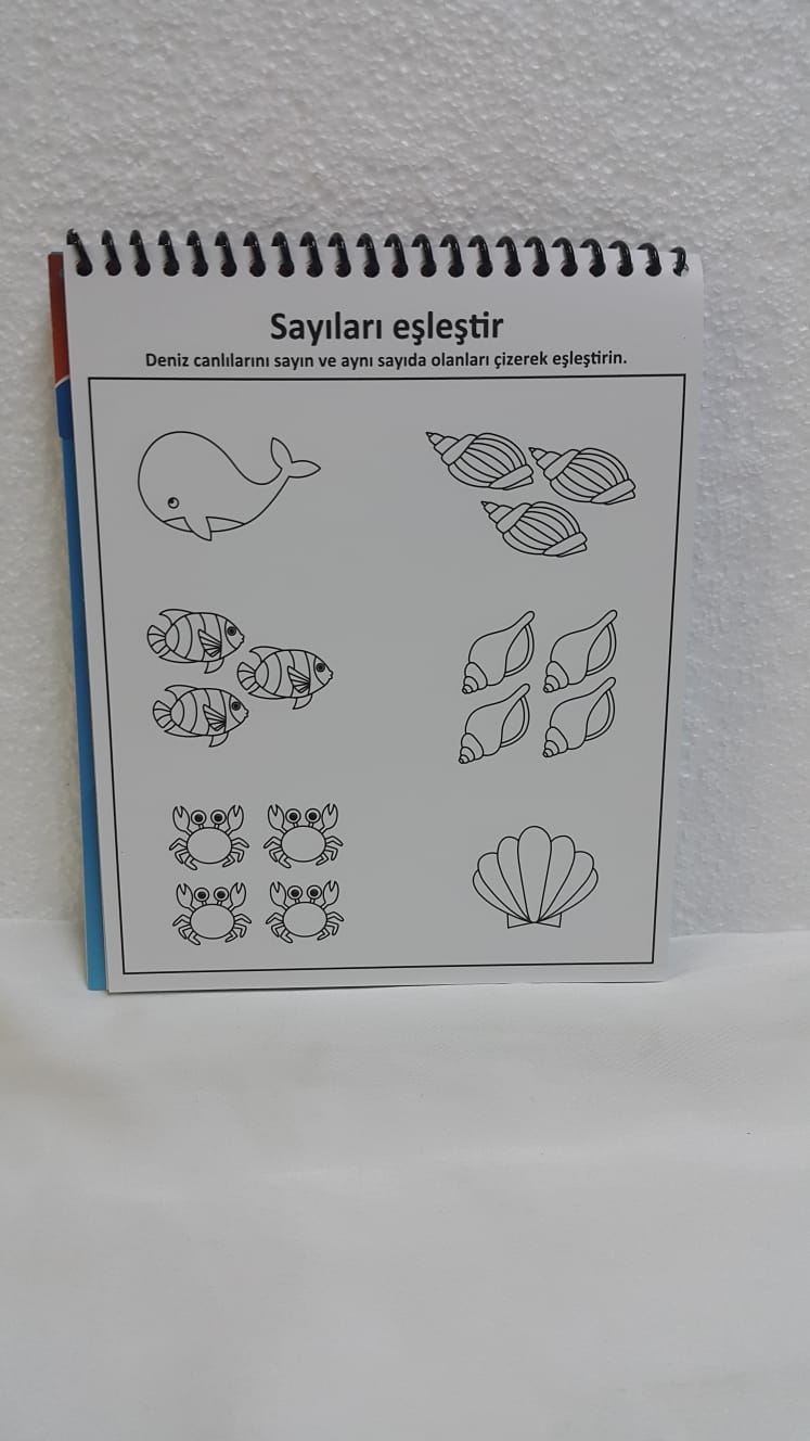 Boya Sil Tekrar Boya Aktivite Kitabı Deniz Canlıları
