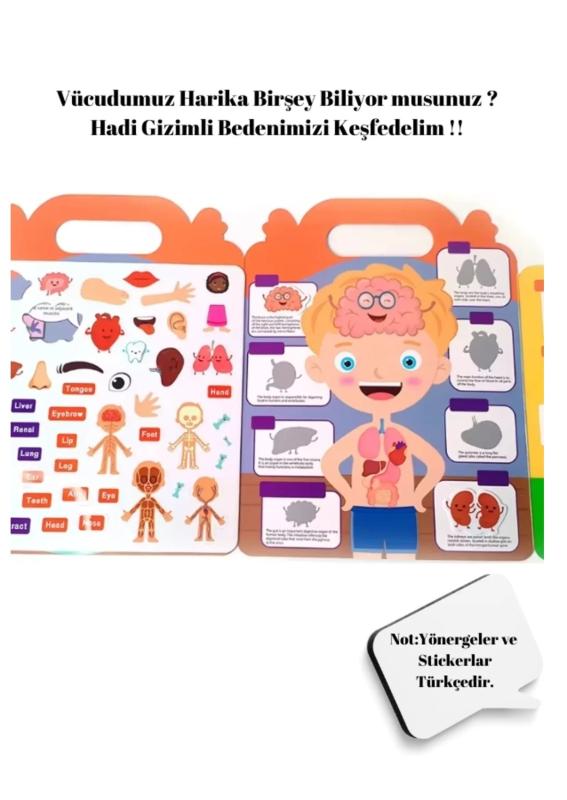 Tekrar Tekrar Kullanılabilen  İlk Sticker Kitabım -My Body - Vücudum