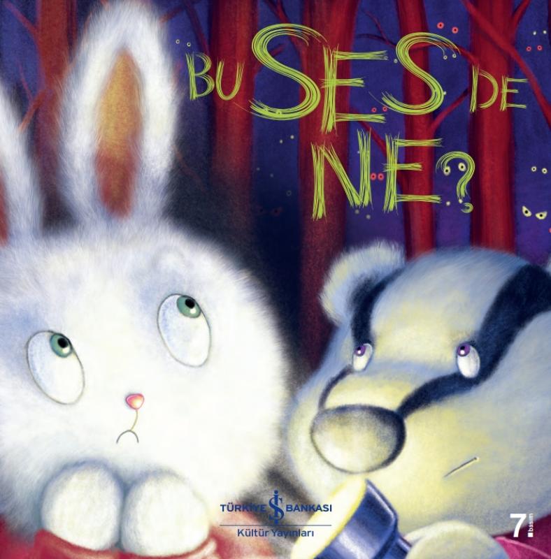 Bu Ses de Ne?