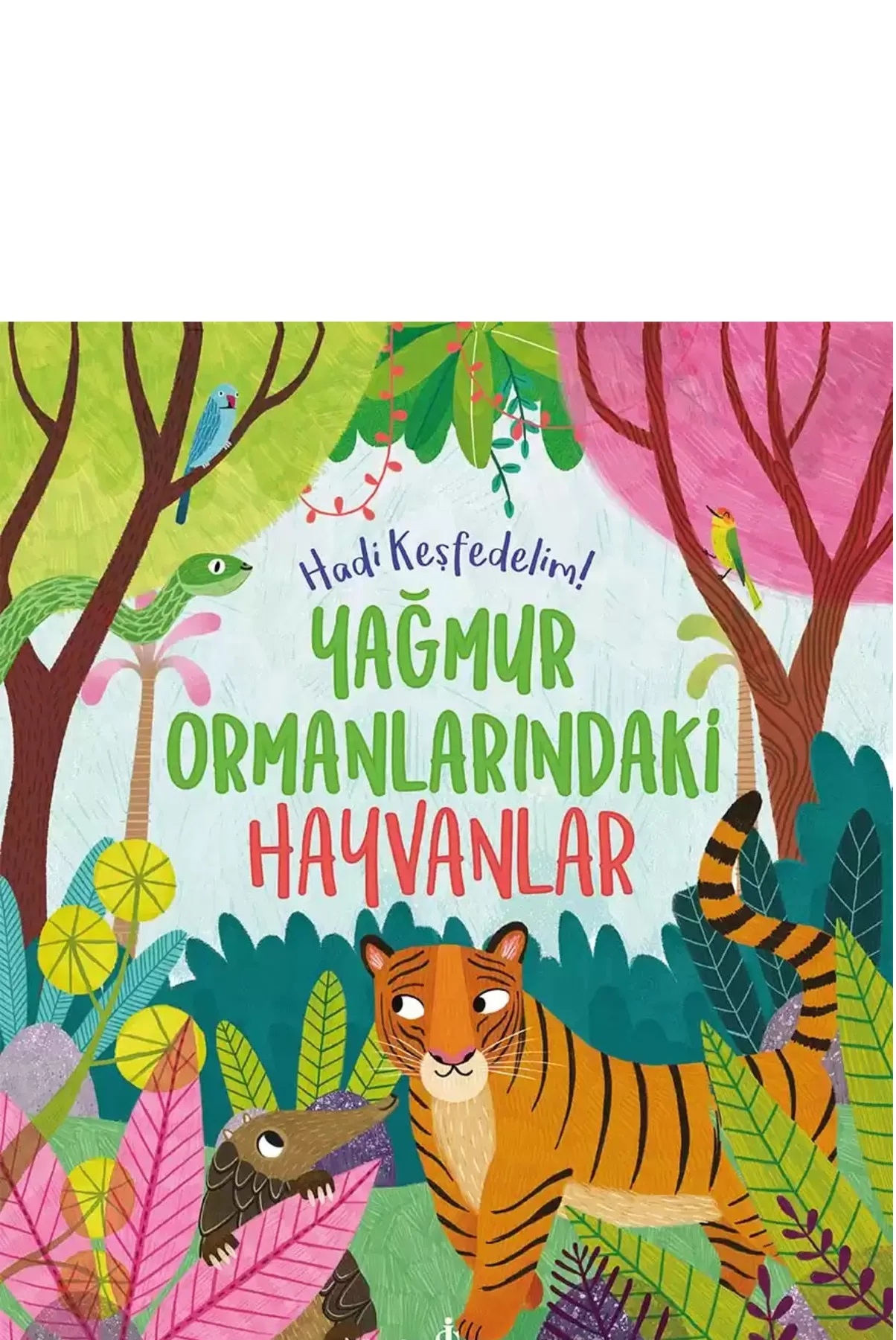Hadi Keşfedelim Serisi 6’lı Kitap ( Okyanus, Dünya, Uzay, Ormanlar, Nasıl Çalışır )
