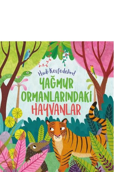 Yağmur Ormanlarındaki Hayvanlar – Hadi Keşfedelim!