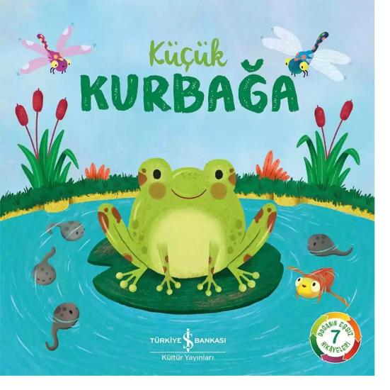 Küçük Kurbağa – Doğanın Eşsiz Hikâyeleri 7